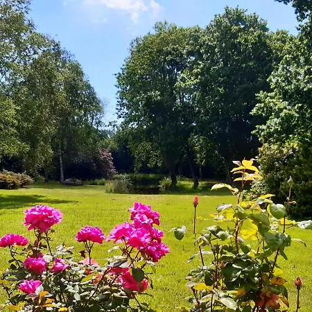 Agape, Elegant T2, 4 Etoiles, Et Gr34 3km, Centre 750m Apartment *